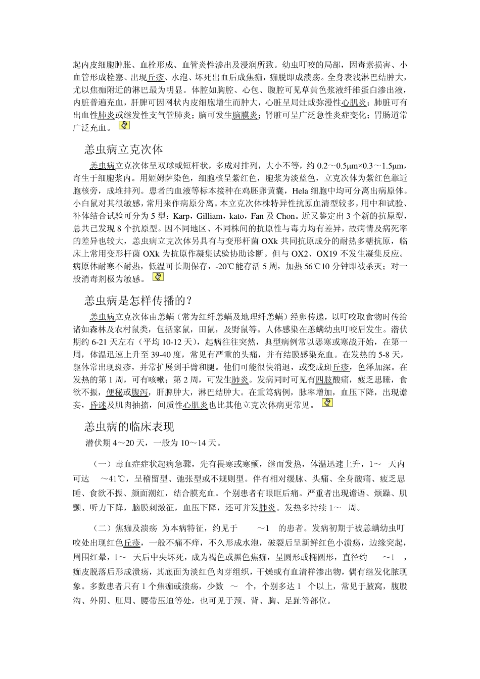 恙虫病疾病常识MicrosoftWord文档_第2页
