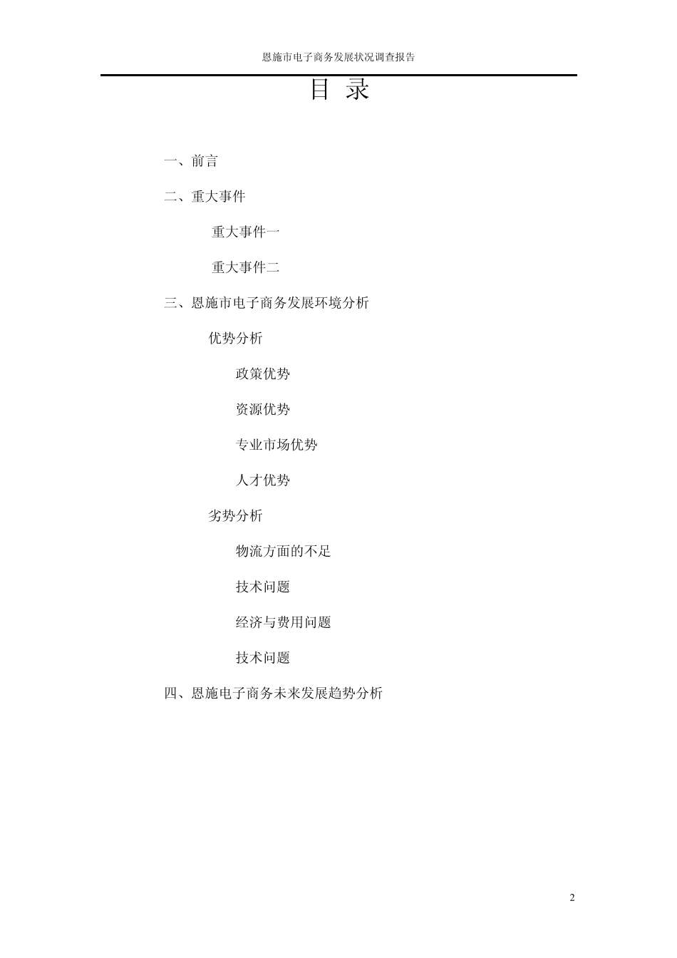 恩施市电子商务发展状况调查报告_第2页