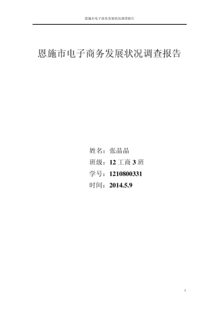 恩施市电子商务发展状况调查报告