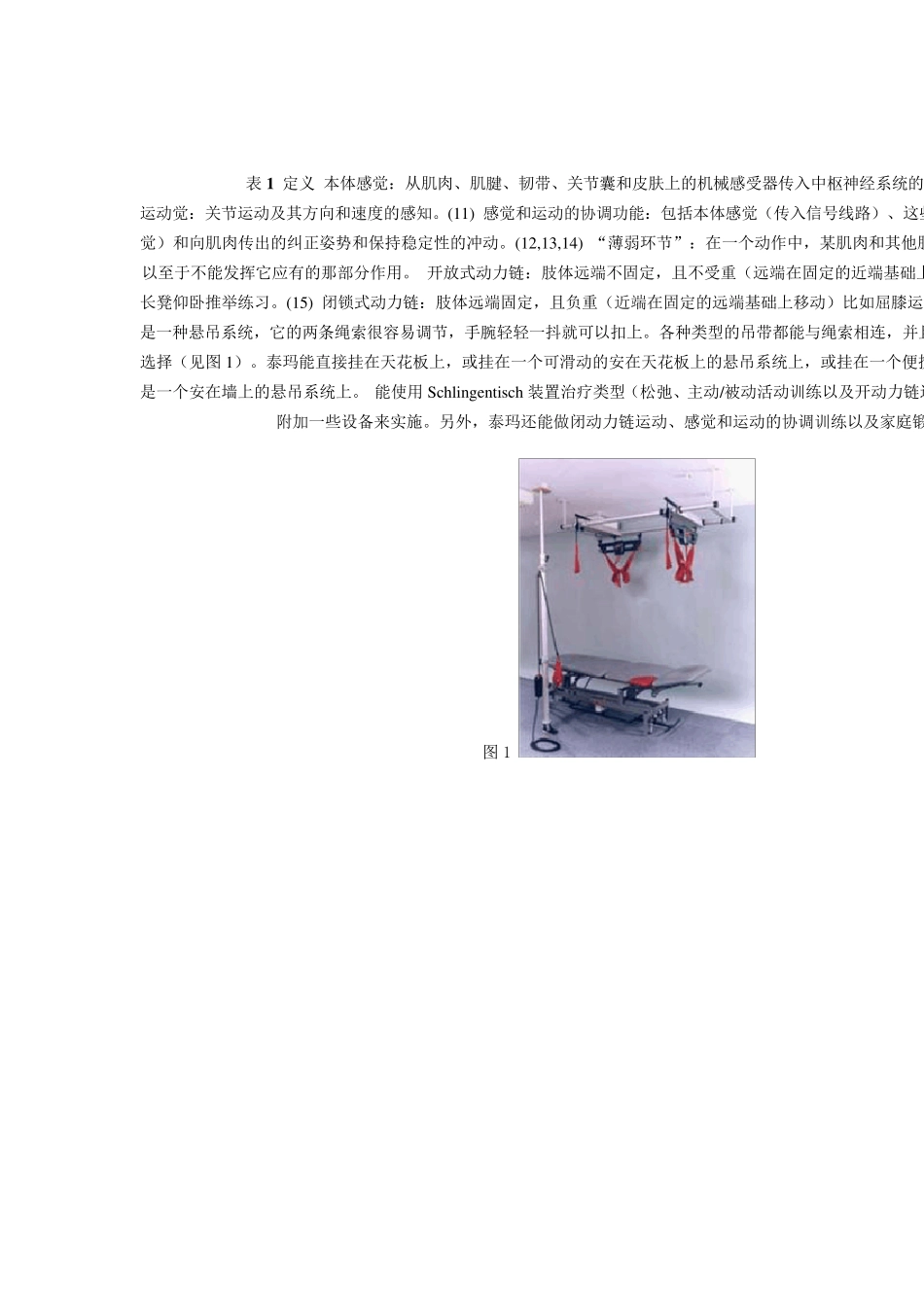 悬吊运动疗法SET介绍_第3页