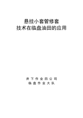 悬挂小套管修套工艺技术