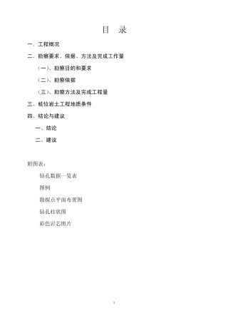 意力电子厂超前钻报告