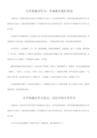 2025年小升初满分作文优质资料