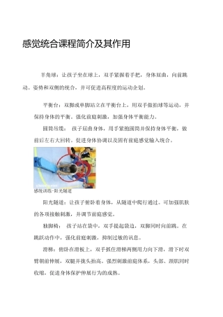 感觉统合课程简介及其作用