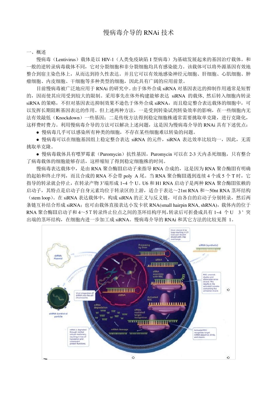 慢病毒介导的RNAi技术_第1页