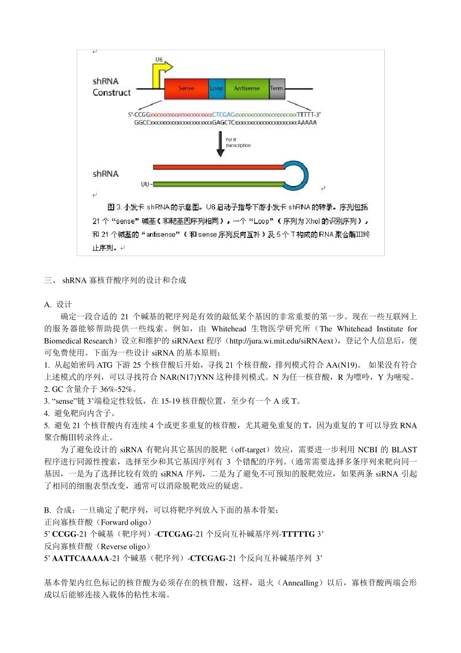 慢病毒介导的RNAi技术_第3页