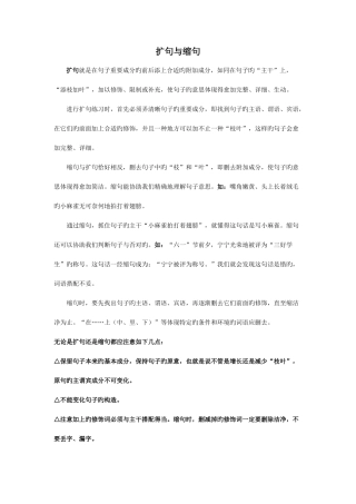 2025年小升初扩句与缩句详细讲解及练习含答案