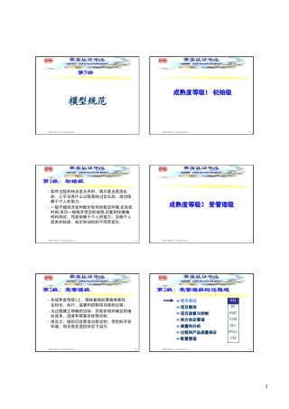 成熟度等级1