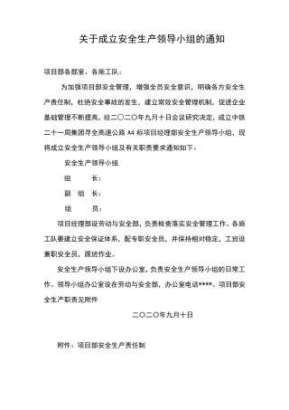 成立安全生产工作领导小组