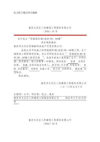 成立项目部红头文件(完整资料)