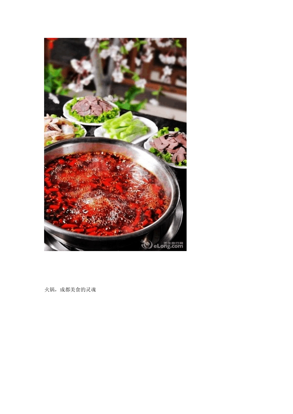 成都美食全攻略入川必看_第3页