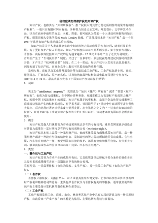 我们应该怎样维护我的知识产权