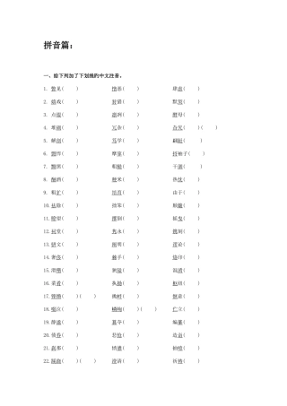 2025年小升初拼音汉字习题