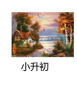 2025年小升初阅读