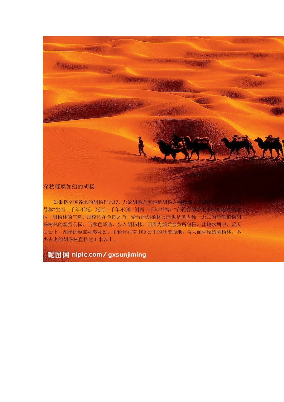 我国八大沙漠四大沙地特色景观_第2页