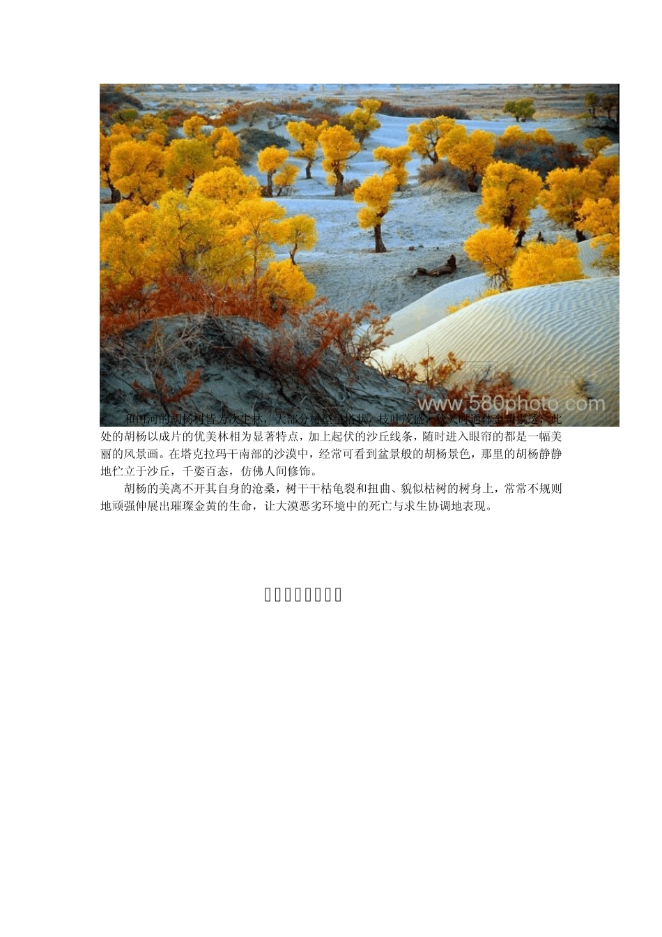 我国八大沙漠四大沙地特色景观_第3页