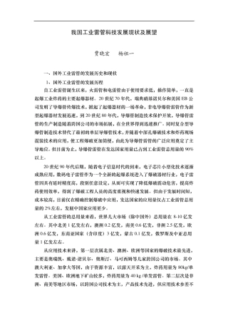 我国工业雷管科技发展现状及展望