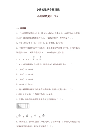 2025年小升初数学知识专项训练总复习