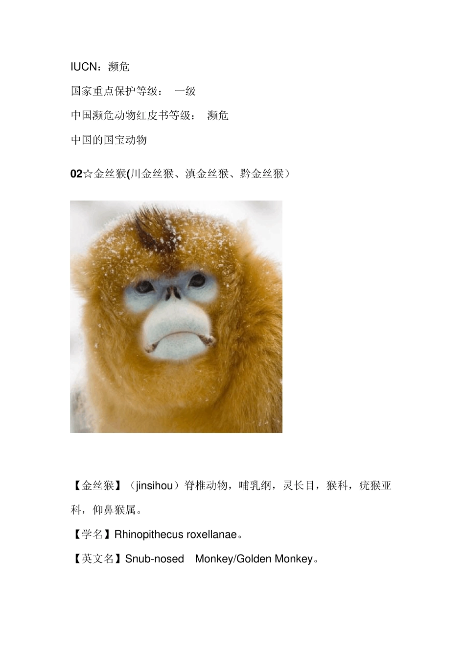 我国特有珍稀动物_第2页