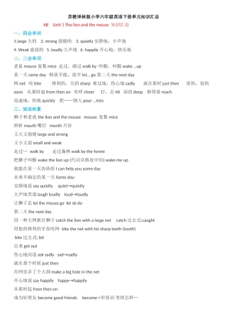 2025年新版译林英语六年级下册知识点整理