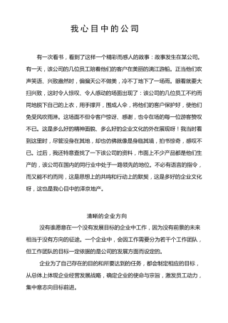 我心目中的公司