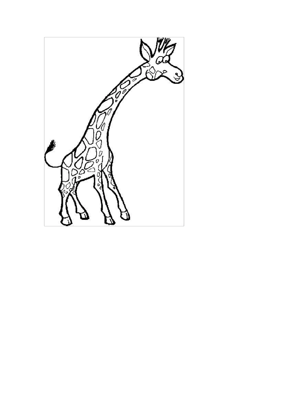 我收藏的动物简笔画_第1页