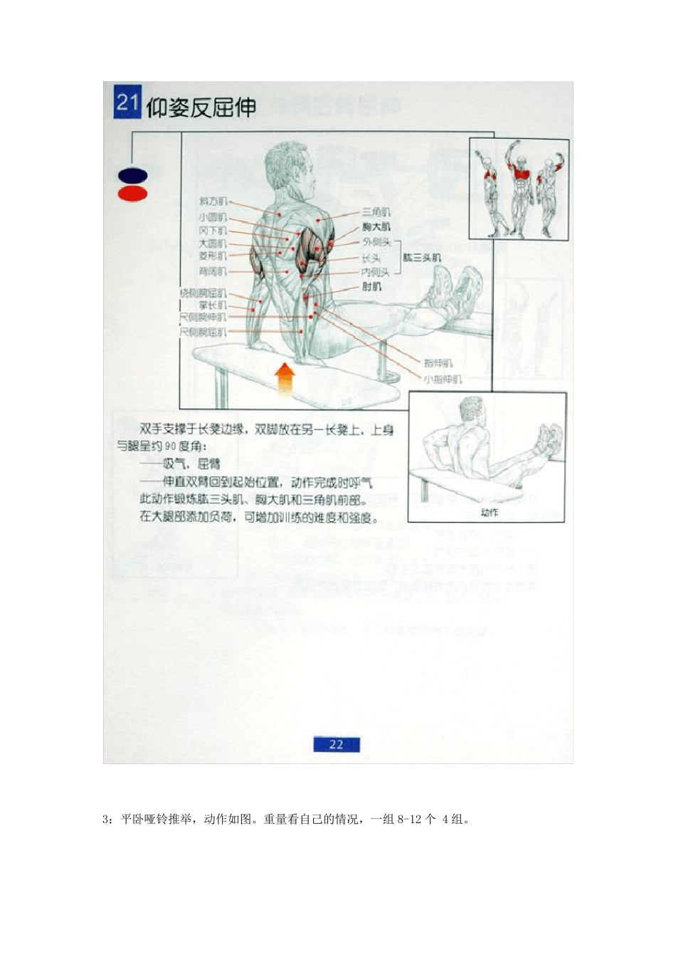 我的身体锻炼计划_第3页