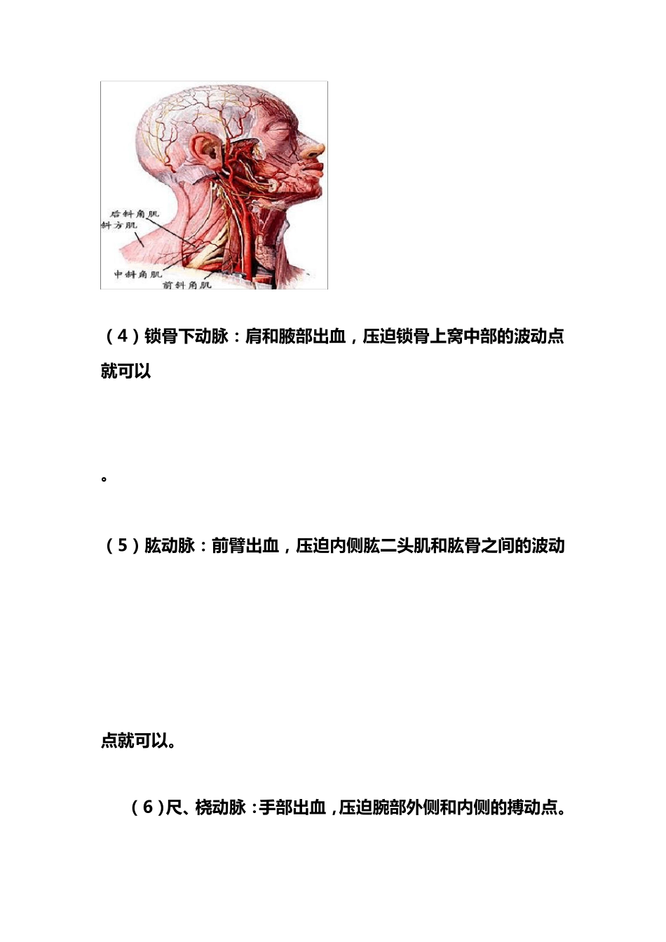 战场救护卫生课_第3页