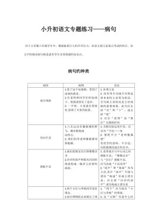 2025年小升初语文专项练习修改病句