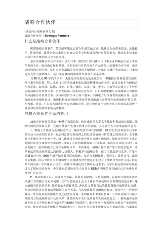 战略合作伙伴