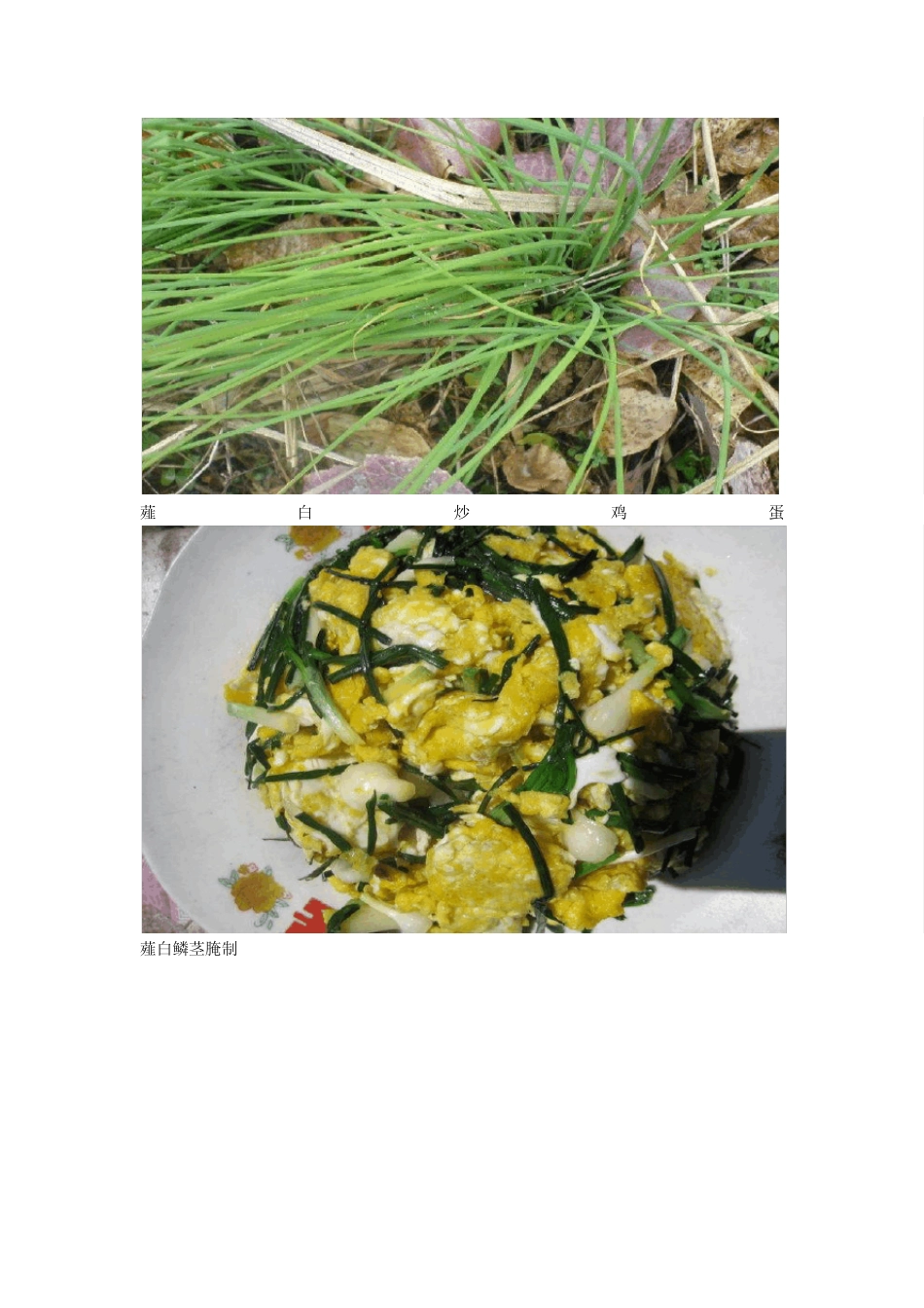 户外常见野菜以及食用方法1_第2页