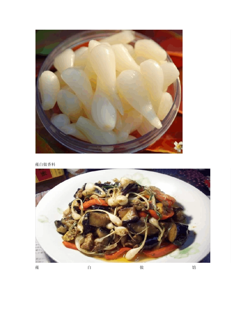 户外常见野菜以及食用方法1_第3页