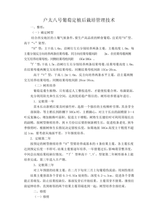 户太八号葡萄定植后栽培管理技术
