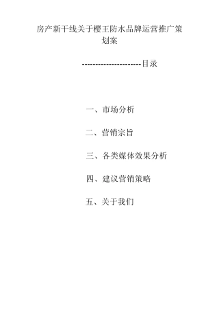 房产新干线关于樱王防水品牌运营推广策划案