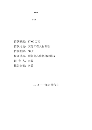 房地产开发企业贷款调查报告