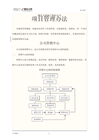 房地产销售代理项目管理办法