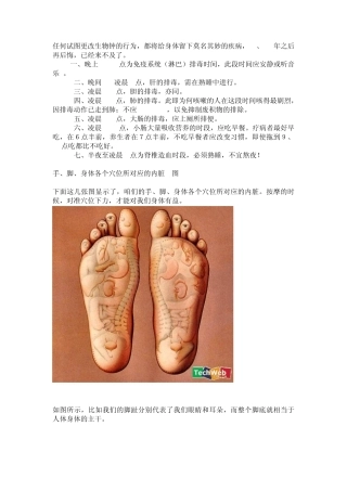 手、脚、身体各个穴位所对应的内脏