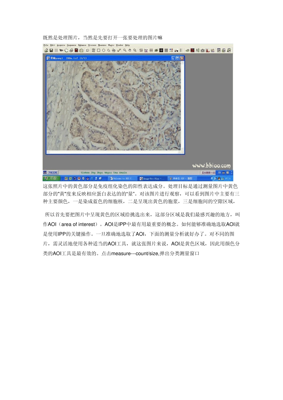 手把手教你使用Imageproplus(第一版)_第2页