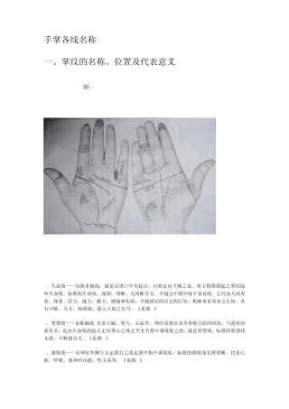 手掌各线名称