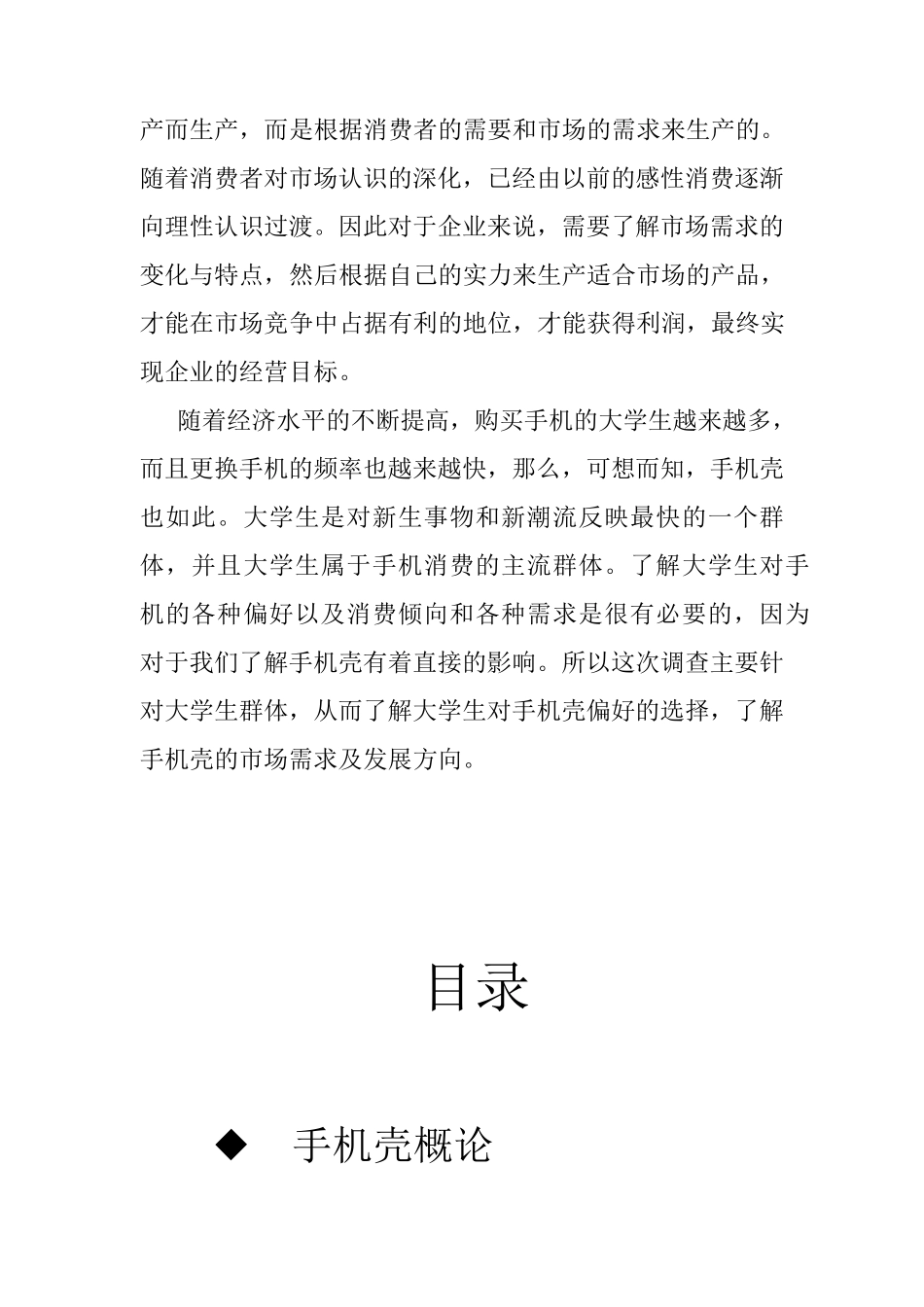 手机壳营销策划_第2页