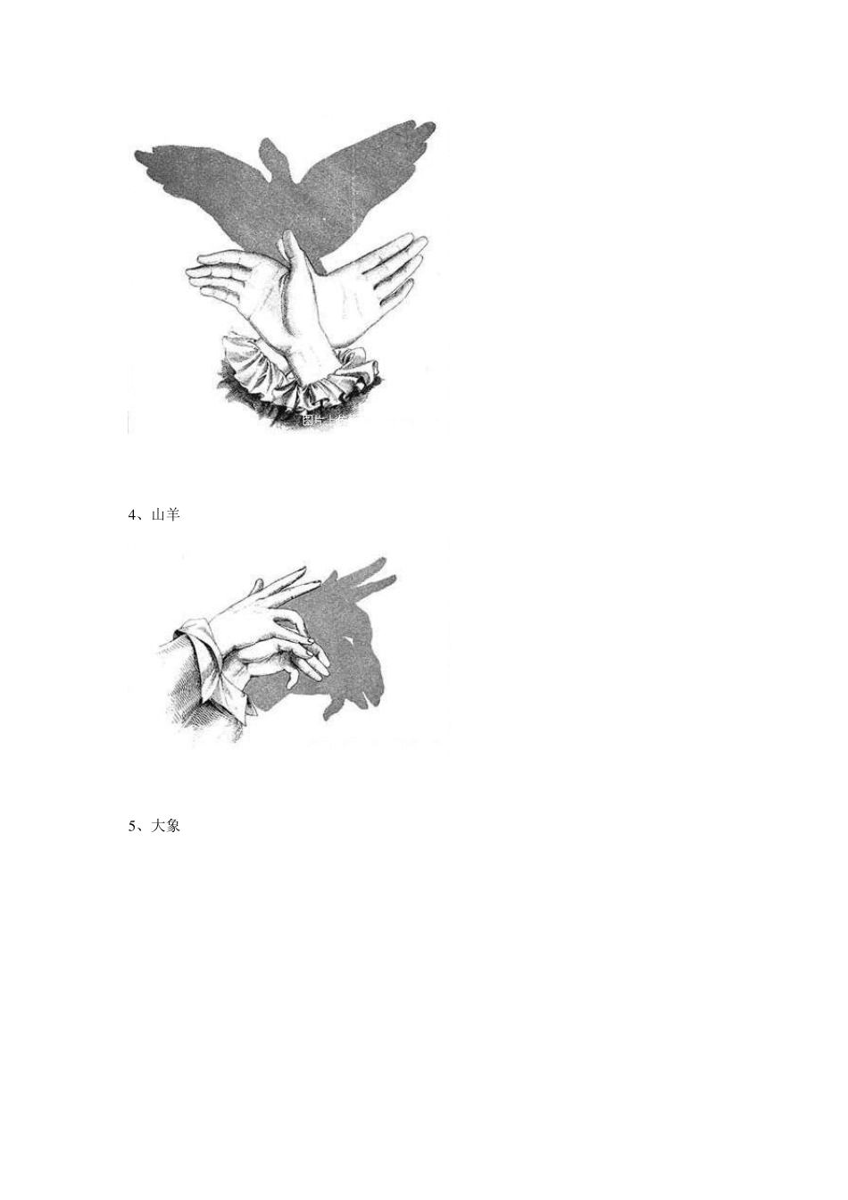 手的影子用手做出的动物影子逼真绝活_第2页