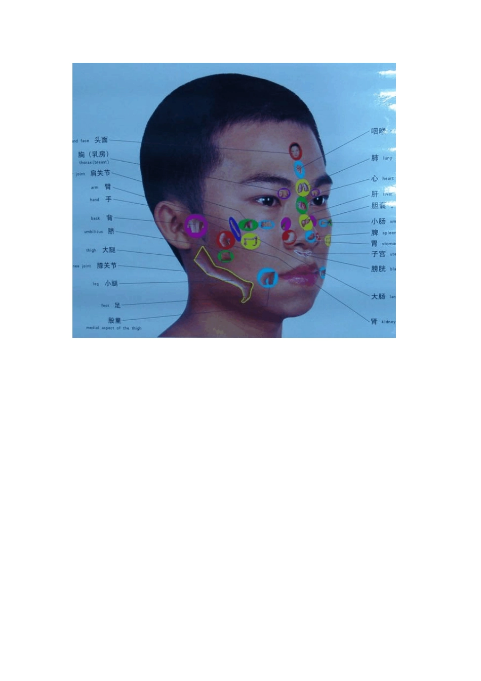 手诊、面诊人体全息图_第2页