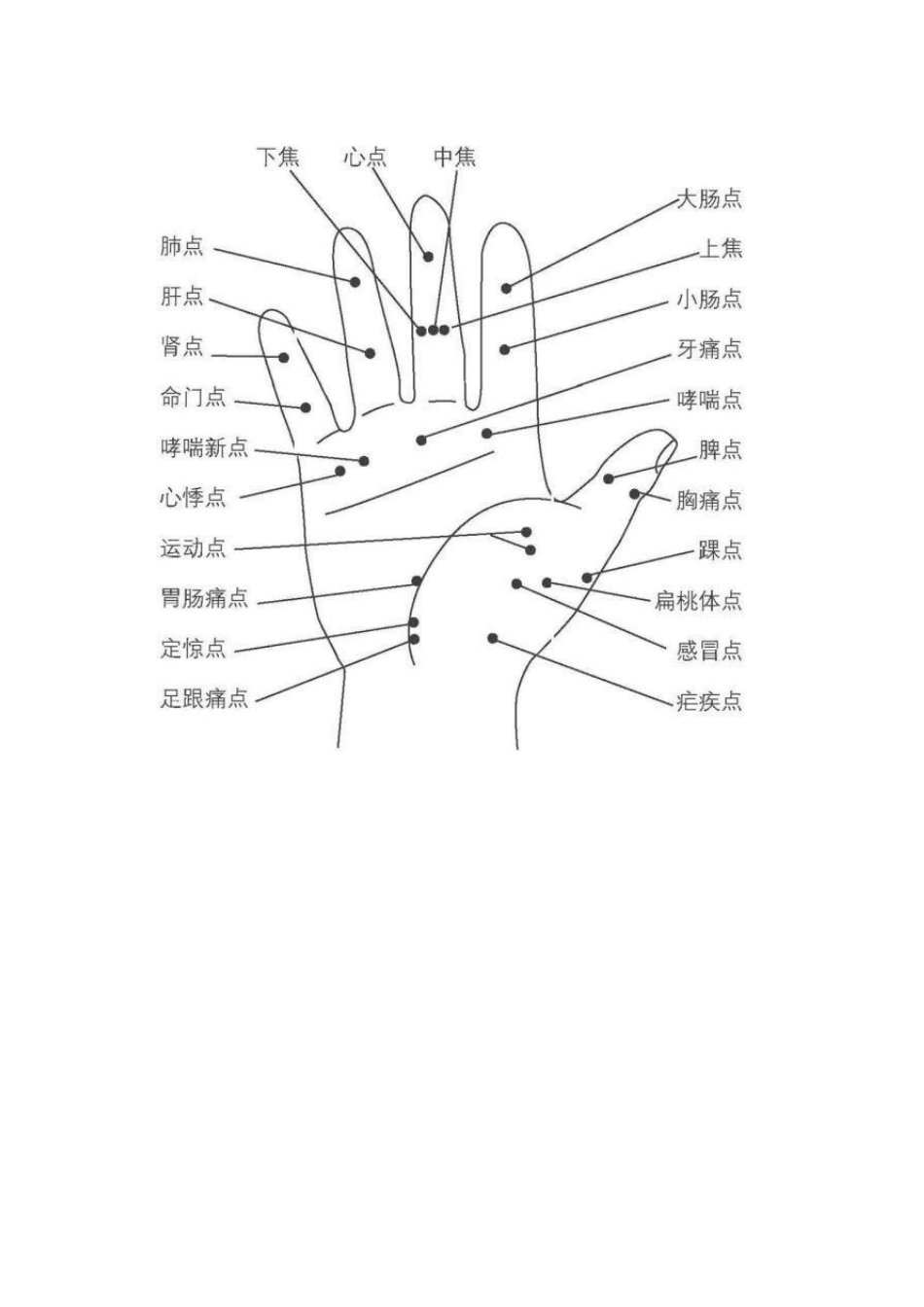 手诊、面诊人体全息图_第3页
