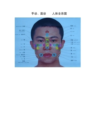 手诊、面诊人体全息图