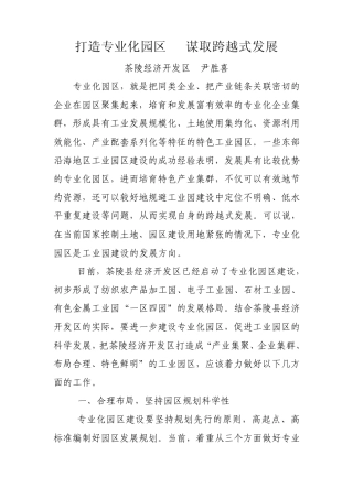 打造专业化园区谋取跨越式发展