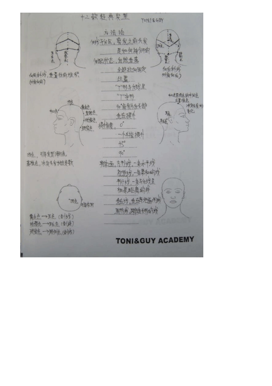 托尼盖12款经典发型_第2页