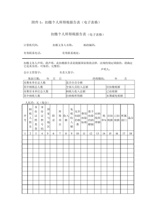 扣缴个人所得税报告表(电子表格)