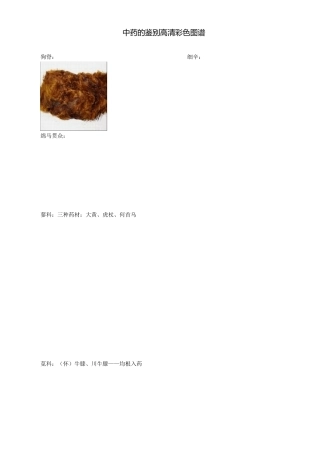 执业中药师必考高清中药彩色图谱(完整归纳)