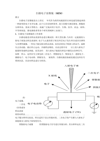 扫描电子显微镜