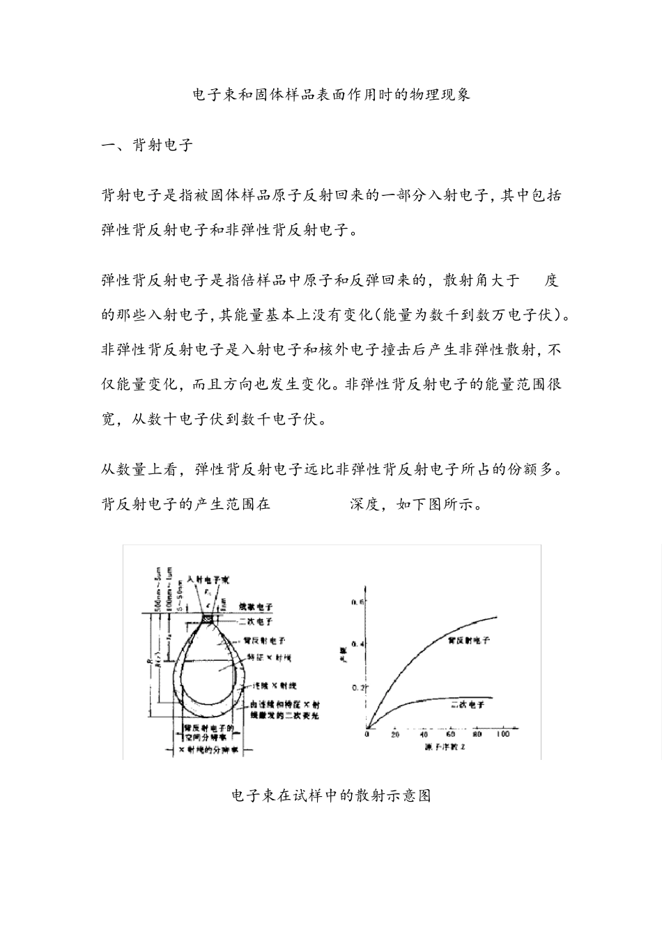 扫描电镜SEM_第2页